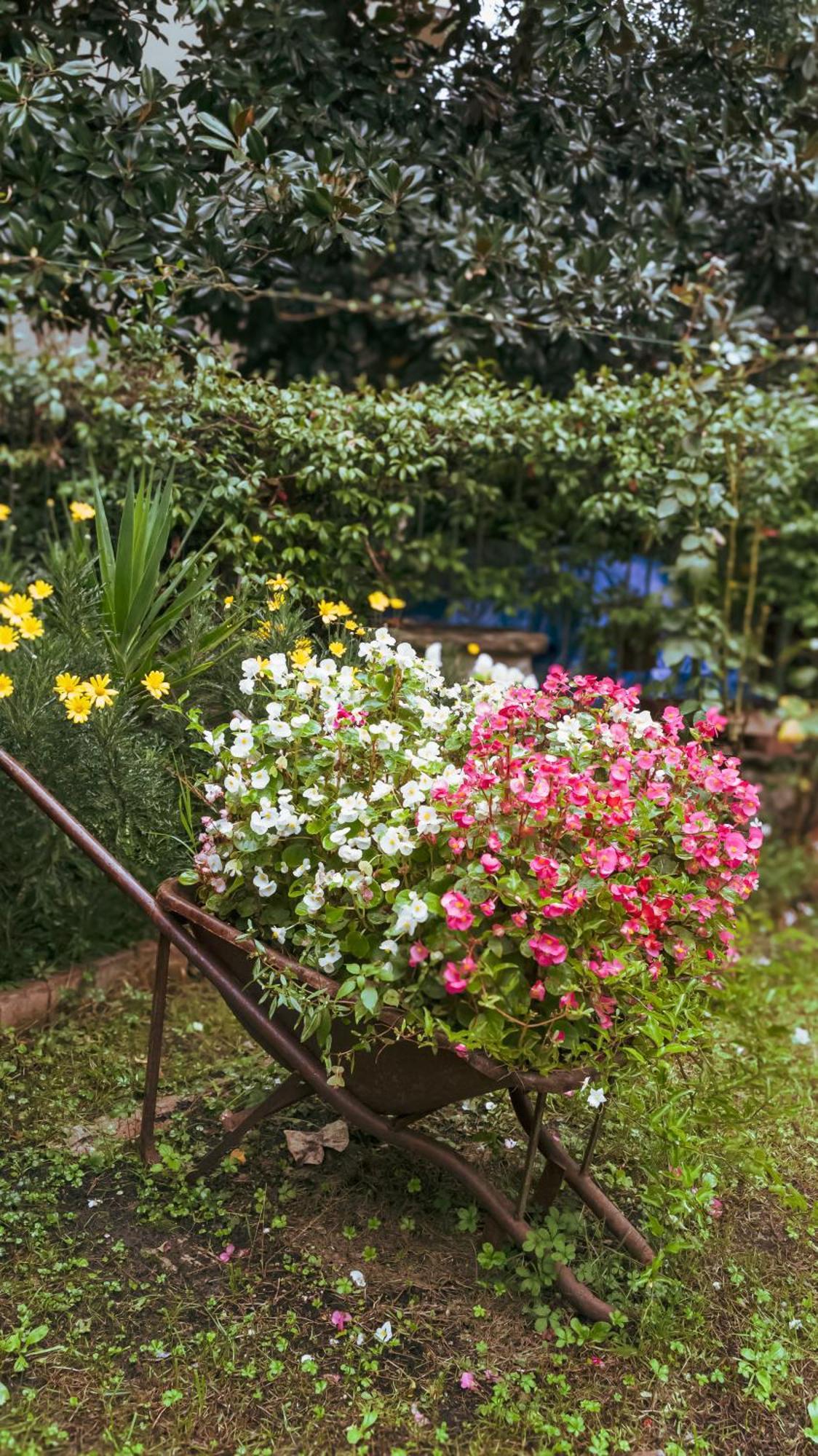 Сasa de vacaciones La Serra Sognante, Un Rifugio Incantevole Tra Natura E Relax