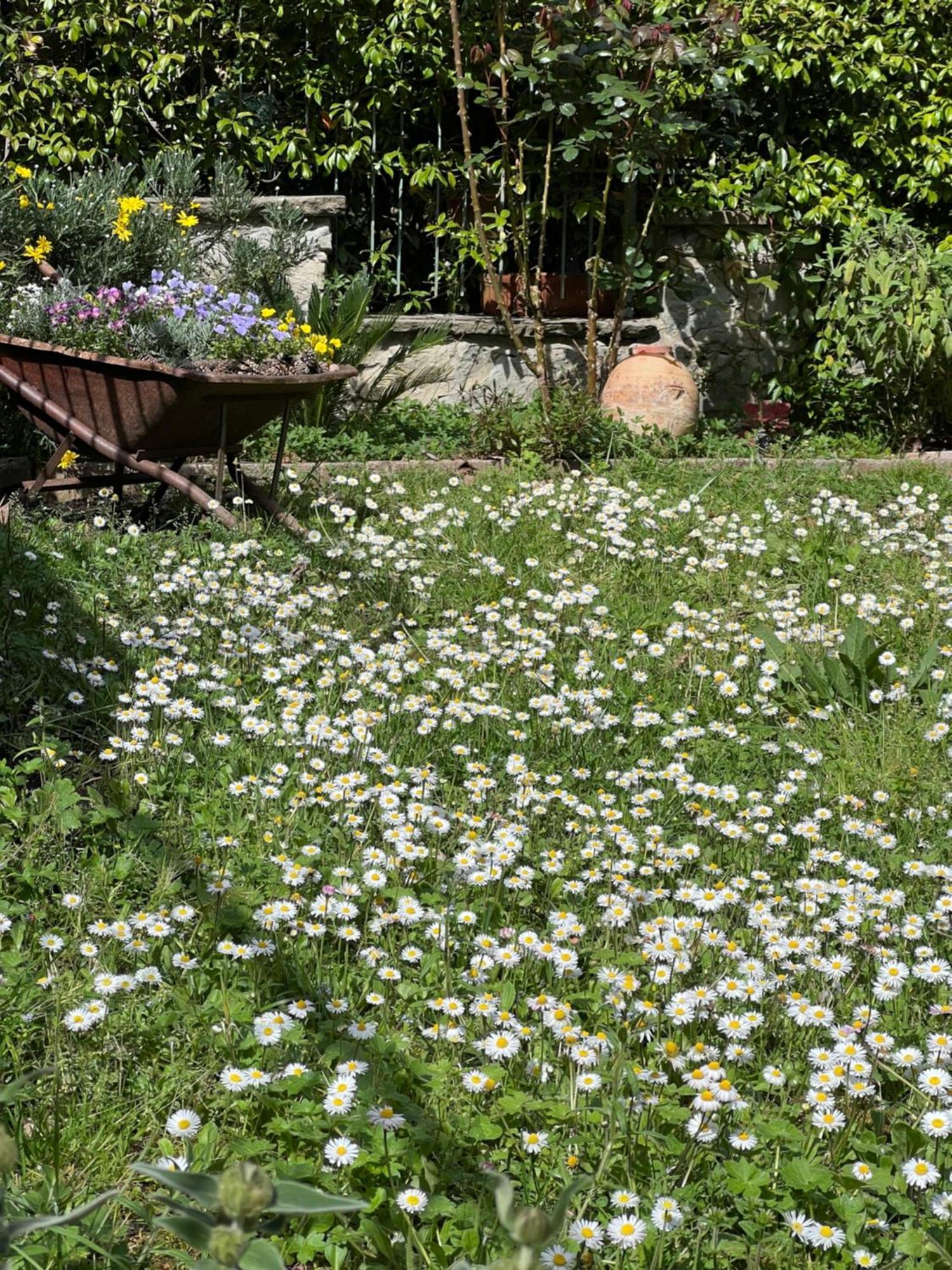La Serra Sognante, Un Rifugio Incantevole Tra Natura E Relax *